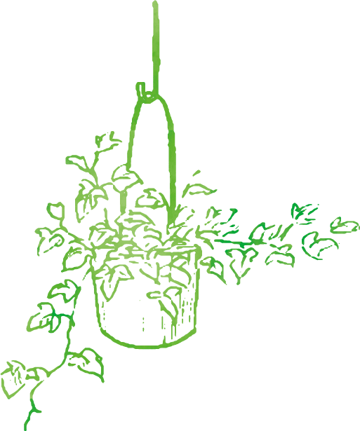 イラスト：植物